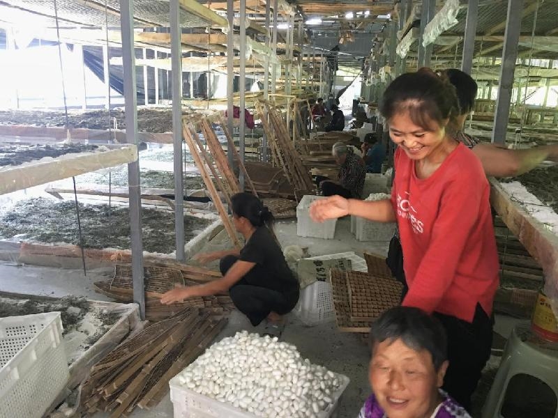 绵阳养殖技术_绵阳致富养殖_四川绵阳养殖基地