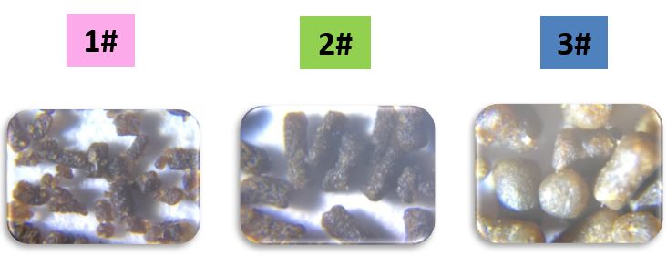 养雕鱼好吗_雕刻鱼的饲养方法_黑雕鱼养殖技术怎样