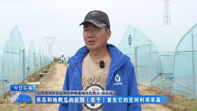 致富经种植三种水果亩收入过亿_致富瓜果种植视频_瓜果种植致富