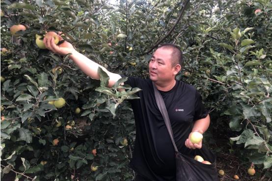 致富瓜果种植技术视频_瓜果种植致富_致富经种水果