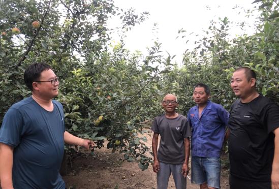 致富经种水果_瓜果种植致富_致富瓜果种植技术视频