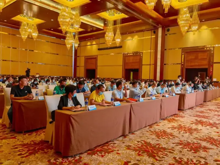 海南青金桔树怎么种植_海南种植青金桔技术与管理_海南青金桔种植技术