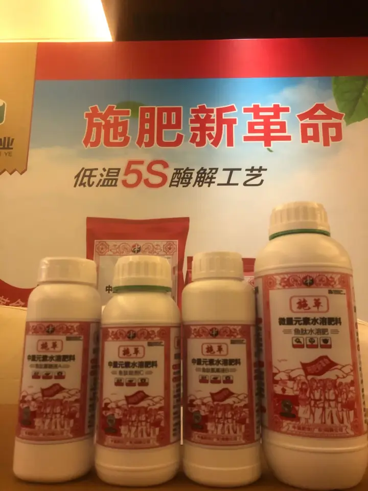 海南青金桔种植技术_海南青金桔树怎么种植_海南种植青金桔技术与管理