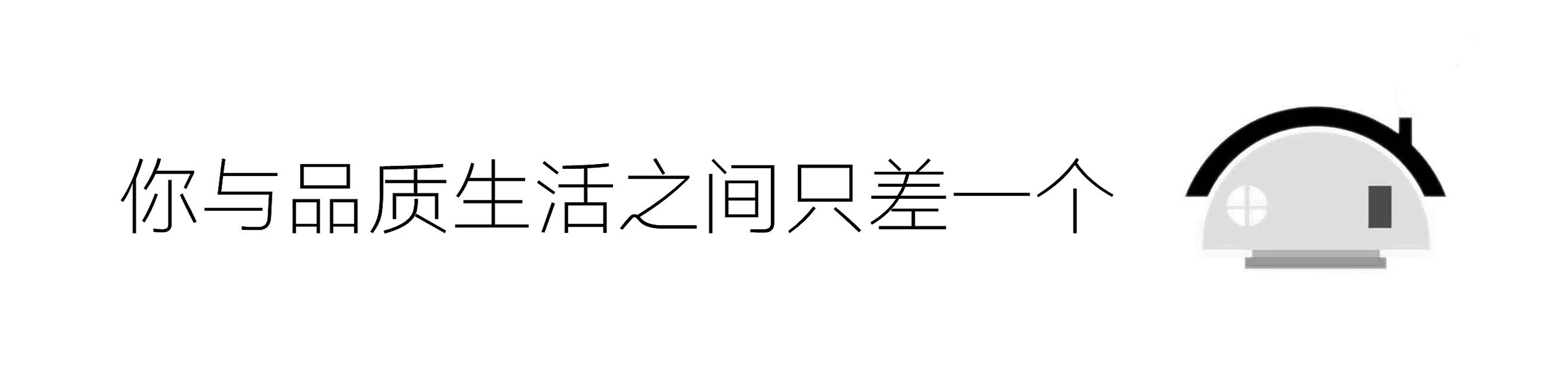 “森林软黄金”| 桑黄