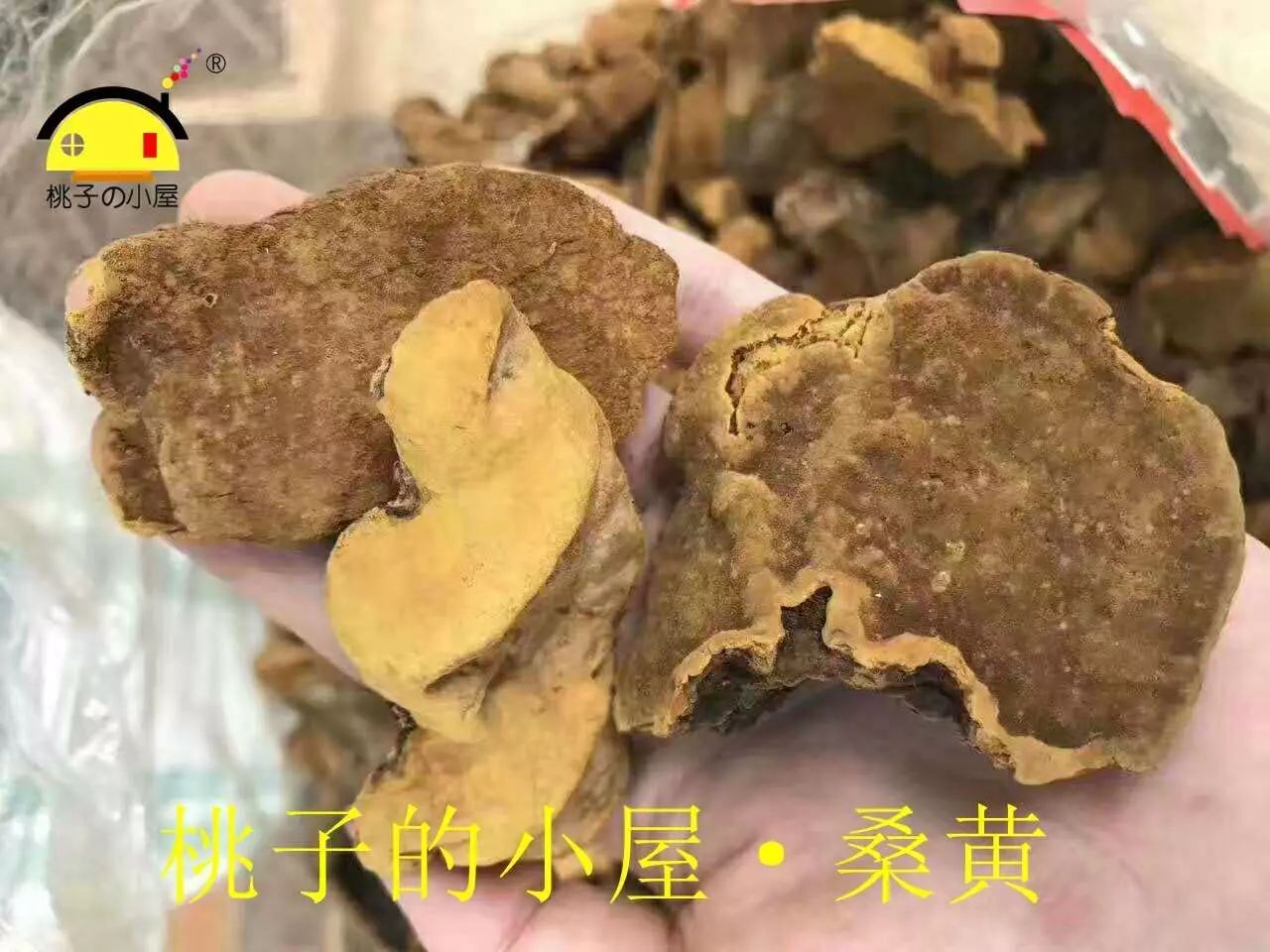 鱼目草种植技术_种植草目鱼技术要求_种植草目鱼技术视频