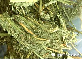 【技术讨论】二次压缩苜蓿草捆随机多点定量取样方法