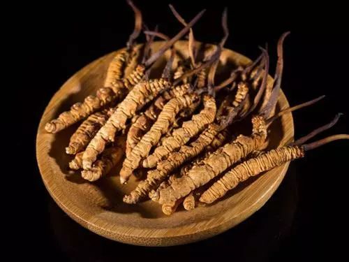 鱼目草种植技术_种植草目鱼技术要求_鱼目草哪里有