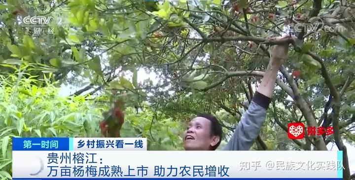 果农致富_致富经鲜果切_水果致富经