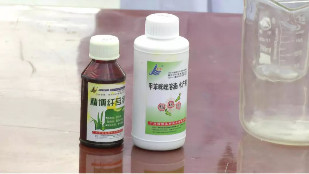 致富泥鳅养殖技术_养殖泥鳅的技术_致富养殖泥鳅技术视频教程
