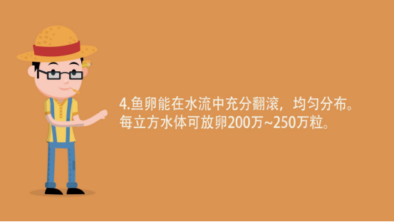 致富养殖泥鳅技术视频教程_养殖泥鳅的技术_致富泥鳅养殖技术