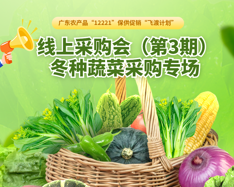 线上采购会助力广东冬种蔬菜“飞渡”！