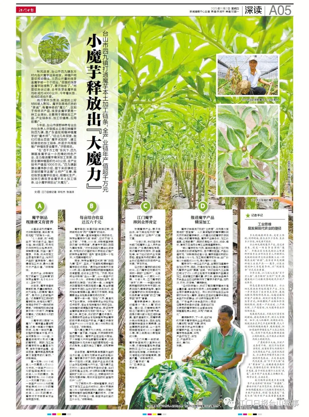 广东蔬菜种植基地_广东种植蔬菜致富_广东种植的蔬菜