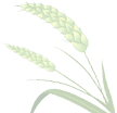 广东蔬菜种植基地_广东种植蔬菜致富_广东种植的蔬菜