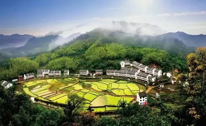 致富养猪场是真的吗_致富养殖网_颠覆养殖致富模式