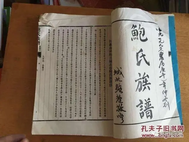鲍志强作品集_鲍志强个人资料_鲍强明致富经
