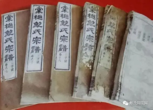 鲍强明致富经_鲍志强作品集_鲍志强个人资料