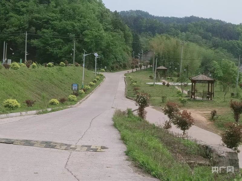 农村致富经种植技术_种植致富业_种植致富农村项目大全