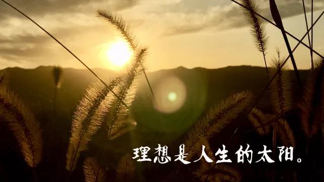 她经历了20年的屡屡失败，又怎么能仅凭3年迅速翻身获得百万财富？