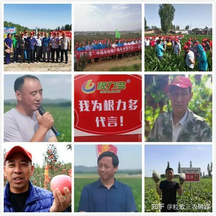 三农致富经养殖牛视频_三农致富经养殖牛网_致富三农养牛视频