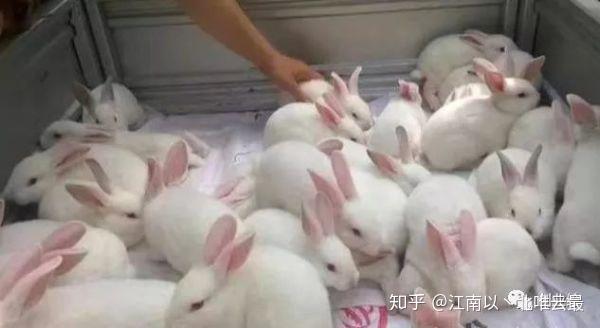 不想打工想创业？这5个项目可以试试！成本低利润高