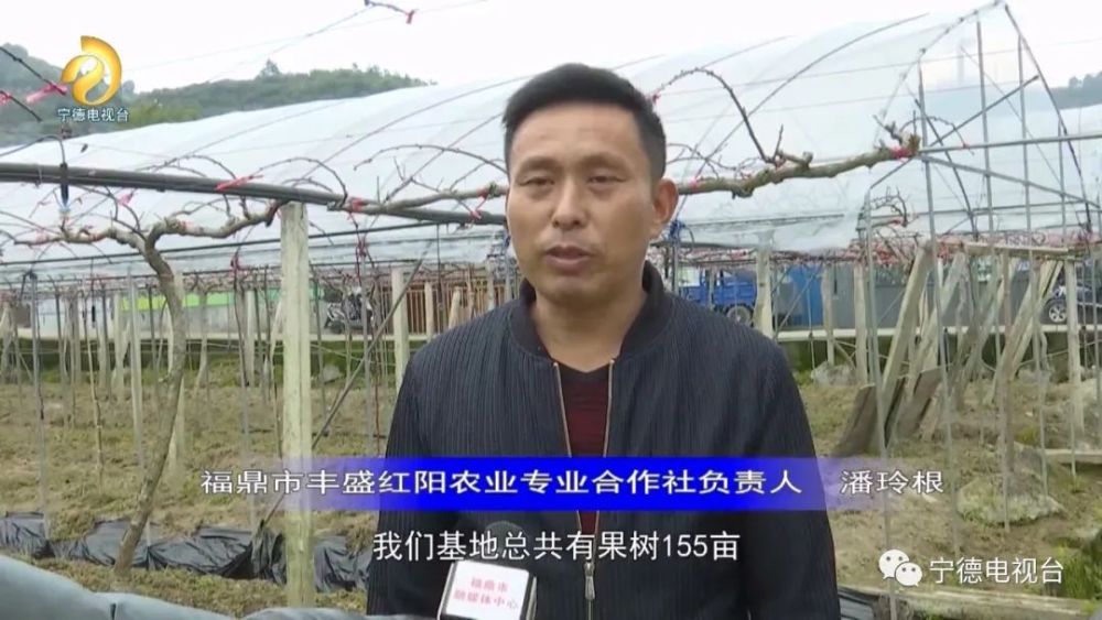 农民种植带动致富_致富带动种植农民发展_致富带动种植农民的句子