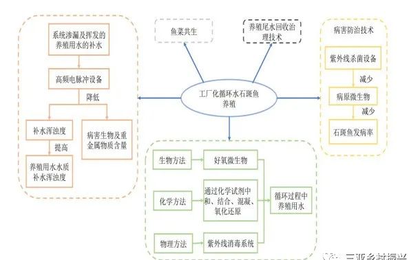 2023年海南省农业主推技术（30）南方工厂化循环水石斑鱼养殖技术