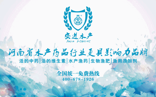 致富经石斑鱼养殖视频_致富经石斑鱼养殖技术_养殖石斑鱼赚钱吗