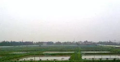 「心得体会」秋季养殖小龙虾技术分享