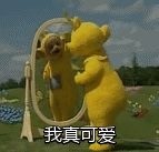 幼儿园等级创建经验分享材料_幼儿园等级创建经验交流_等级园优质经验分享