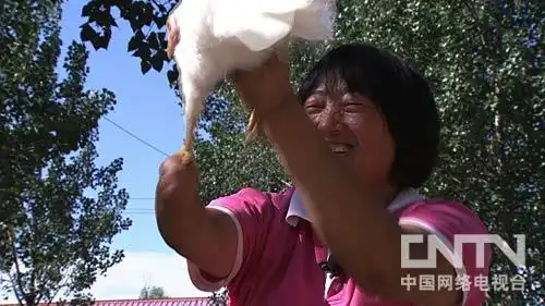 水果树盆栽致富经_致富盆栽水果树有哪些_致富盆栽水果树图片