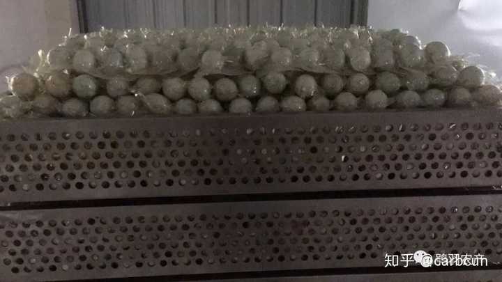 致富经网上养番鸭视频_致富经番鸭养殖技术_致富经养鸭视频大全