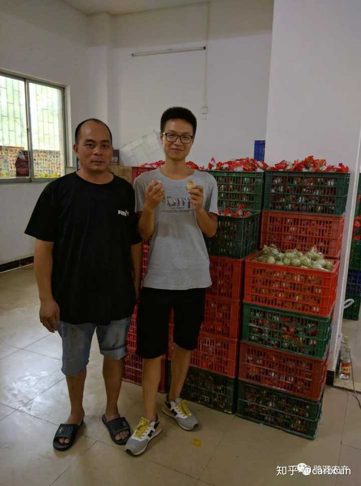 致富经网上养番鸭视频_致富经番鸭养殖技术_致富经养鸭视频大全