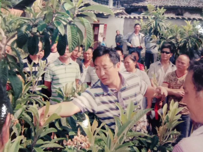 巧打种植牌，安宁河畔结出“金果果”