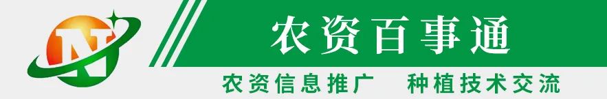 黄芪种植技术及管理