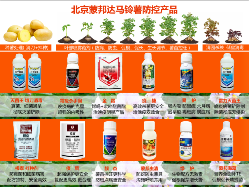 黄芪高产种植技术_黄芪的种植技术及产量_高产黄芪种植技术与管理