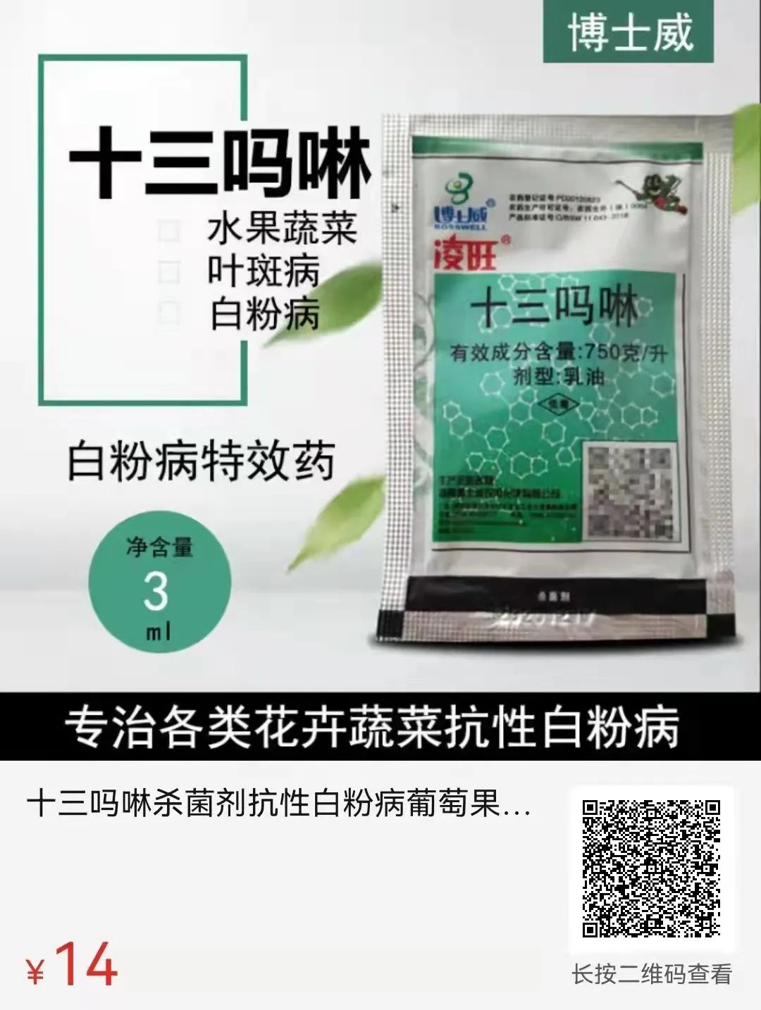 高产黄芪种植技术与管理_黄芪的种植技术及产量_黄芪高产种植技术