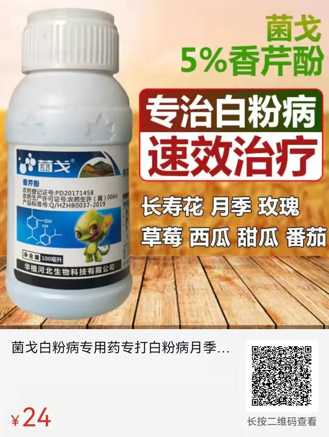 黄芪的种植技术及产量_黄芪高产种植技术_高产黄芪种植技术与管理