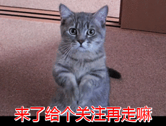 致富经养狗成功例子_致富经养狗_致富项目养狗