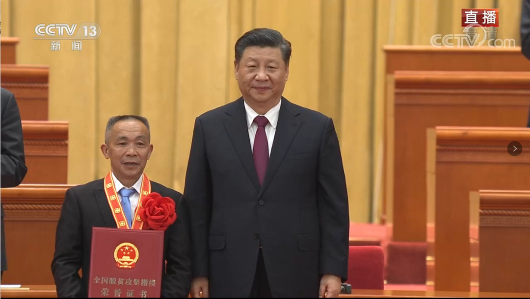 种植桑椹前景怎么样_致富经桑椹果种植_致富经里桑椹种植