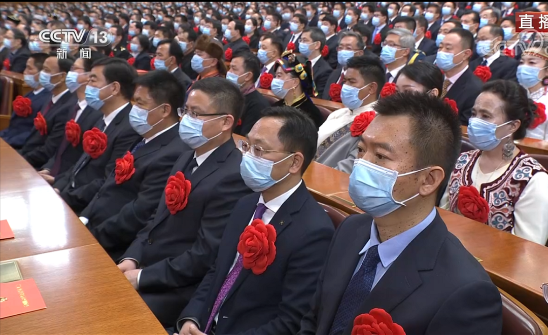 致富经里桑椹种植_种植桑椹前景怎么样_致富经桑椹果种植