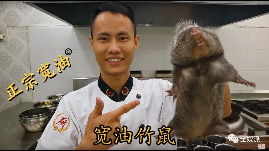 视频致富土鸡是真的吗_土鸡致富经视频视频_致富经土鸡