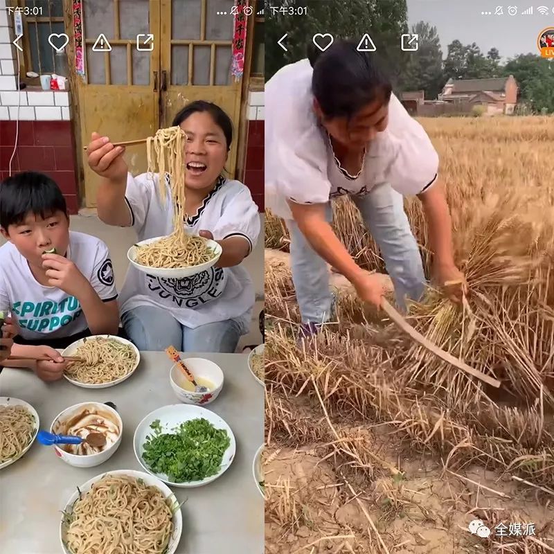 视频致富土鸡是真的吗_致富经土鸡_土鸡致富经视频视频