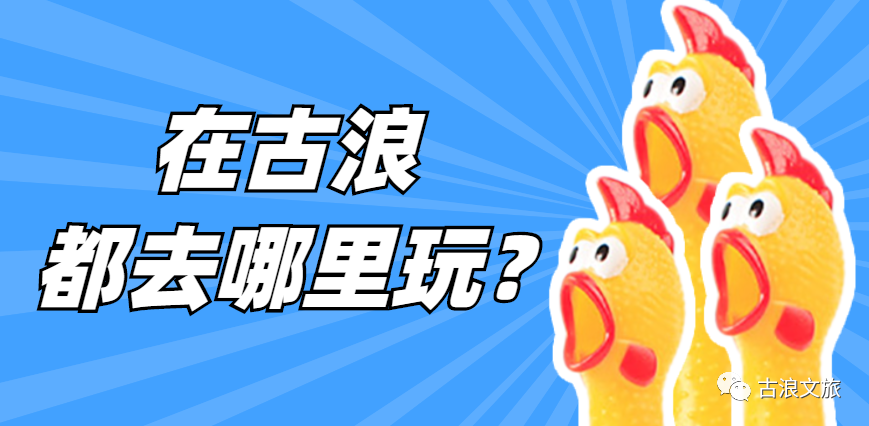 韭菜水上种植技术视频_韭菜水培种植方法视频_韭菜种植视频教程