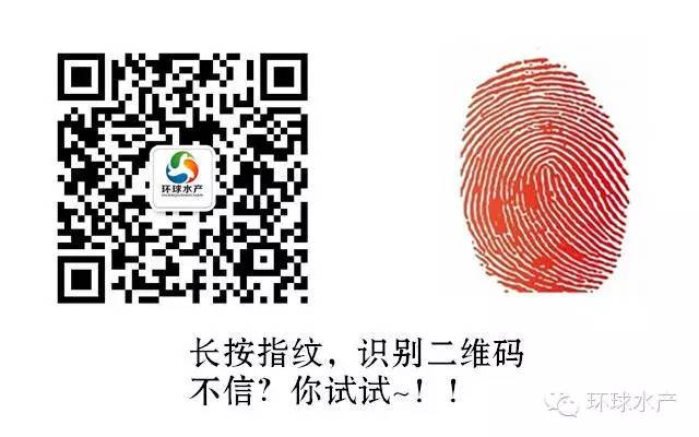 澳洲龙虾 养殖技术_澳洲龙虾养殖技术培训_澳洲龙虾养殖技术指南