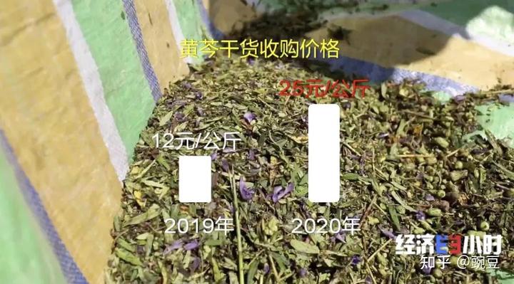 80后大学生种植致富果_种植致富案例_致富创业网搞种植水果