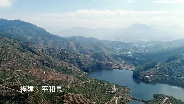种植致富案例_90后讲种植_80后大学生种植致富果