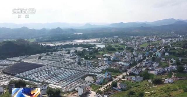 苹果养殖致富行业_致富养殖苹果行业前景如何_种植苹果赚钱吗