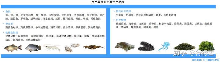 黄鱔养殖技术_稻田养殖小龙虾技术_石金钱龟的养殖前景与技术