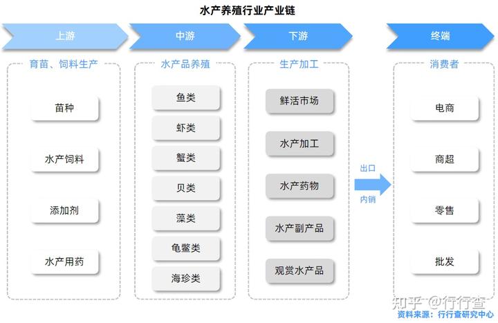 石金钱龟的养殖前景与技术_黄鱔养殖技术_稻田养殖小龙虾技术