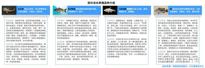 石金钱龟的养殖前景与技术_黄鱔养殖技术_稻田养殖小龙虾技术